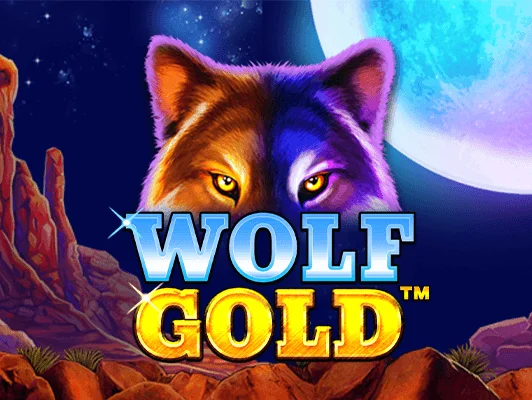 Wolf Gold w kasynie Spinoloco